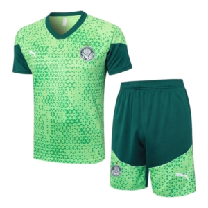 Kit Treino adulto - Camisa e Shorts - Palmeiras Puma 24/25 - Verde