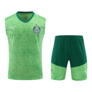 Kit Treino adulto - Camisa e Shorts - Palmeiras Puma 24/25 - Verde
